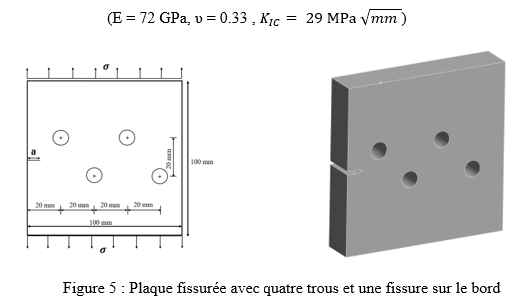 Figure 5 - Plaque fissurée